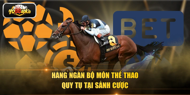 Hàng ngàn bộ môn thể thao quy tụ tại sảnh cược Hàng ngàn bộ môn thể thao quy tụ tại sảnh cược